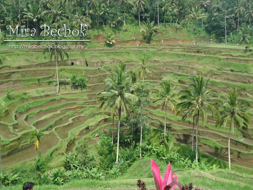 Mira Bechok Bali Part 5 Ubud Temen Village Tanah Lot
