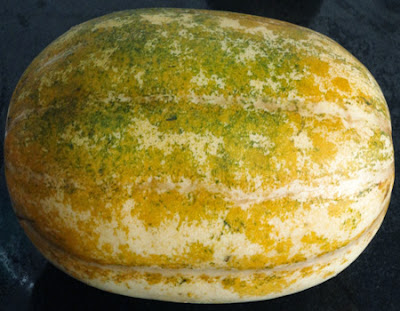 Mashmelon/chibud