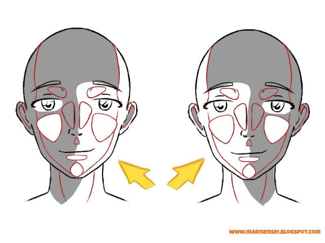 Les ombres et les lumières du visage en vue de face