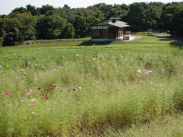 むきばんだ史跡公園の休息所