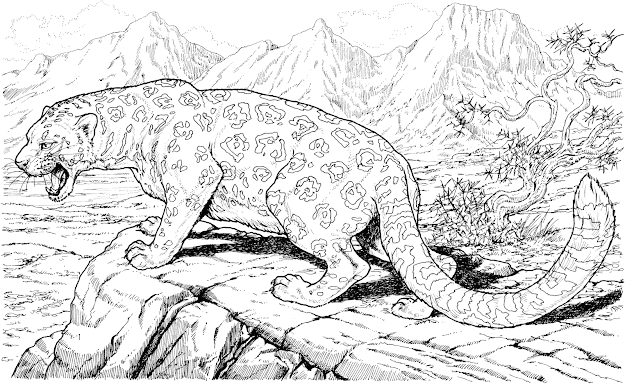 Big Cat Coloring Pages Vijoki