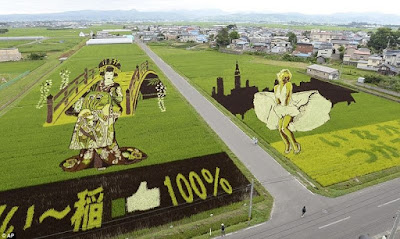  Pertanian Organik Di Jepang Luar Biasa  Pertanian Organik Di Jepang Luar Biasa