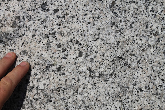 Yosemite National Park valley geology field trip glacier granite Sierra Nevada California copyright RocDocTravel.com