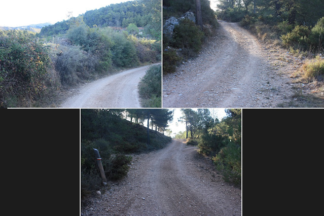 CABRA DEL CAMP-COLL DE SÀRRIA-ROC DEL COGULLÓ-EL COGULLÓ-PUIG DE COMAVERD-COLL DE VALLS, Camí de Cabra del Camp a Vallespinosa