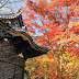 Yokohama: Autumn Views at Sankeien Garden (三渓園)