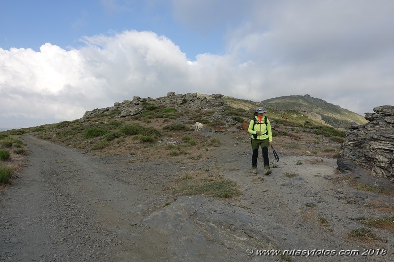 Tresmiles de Sierra Nevada - Lavaderos de la Reina