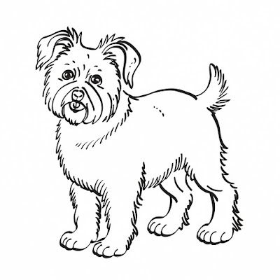 Dog coloring book