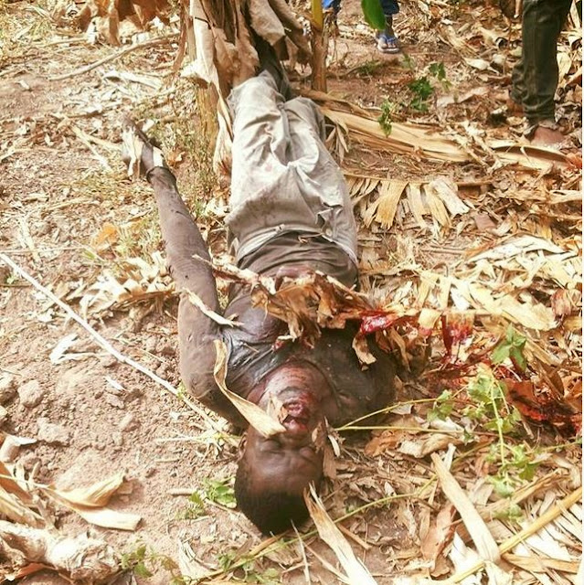 Two Left Dead as Fulani Herdsmen Raid Again (Graphic Photos)