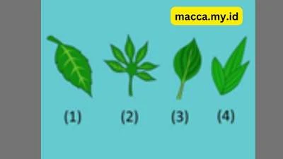 Soal sumatif IPAS Kelas 4 Semester 1