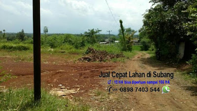 Jual Cepat Lahan Tanah di Subang