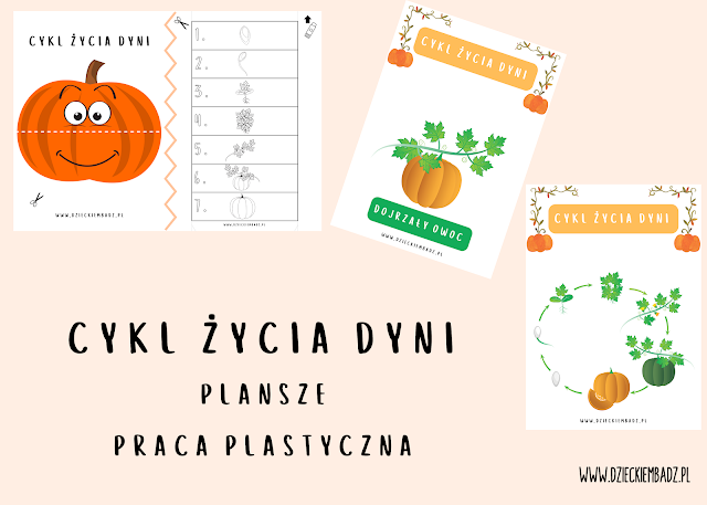 cykl życia dyni