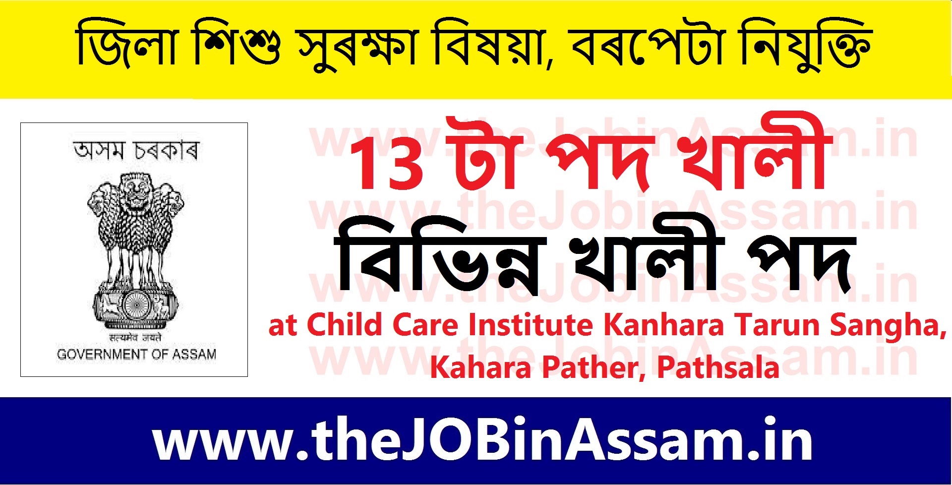 District Child Protection Officer, Barpeta Recruitment 2023 : 13 Vacancy