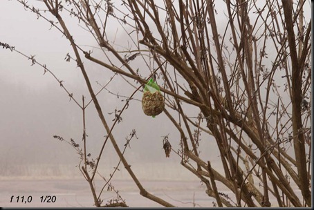 test_20120229_tid2