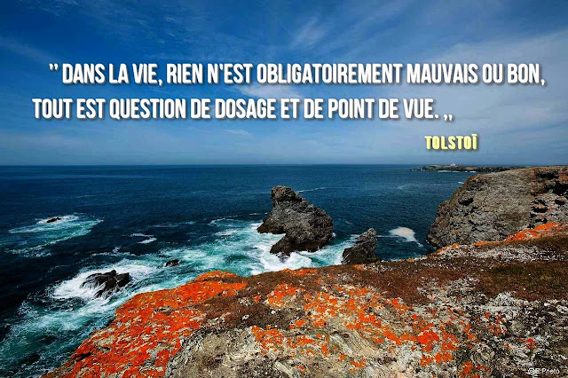 citation sur la vie 