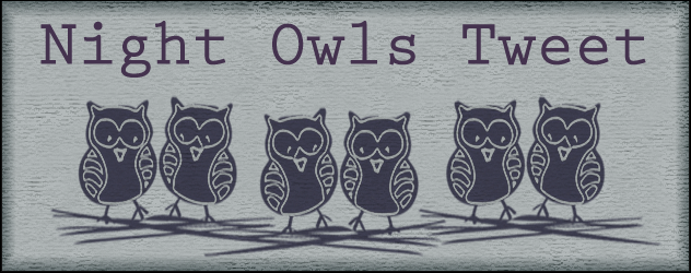 Pictures Of Owls At Night. I love to design late at night
