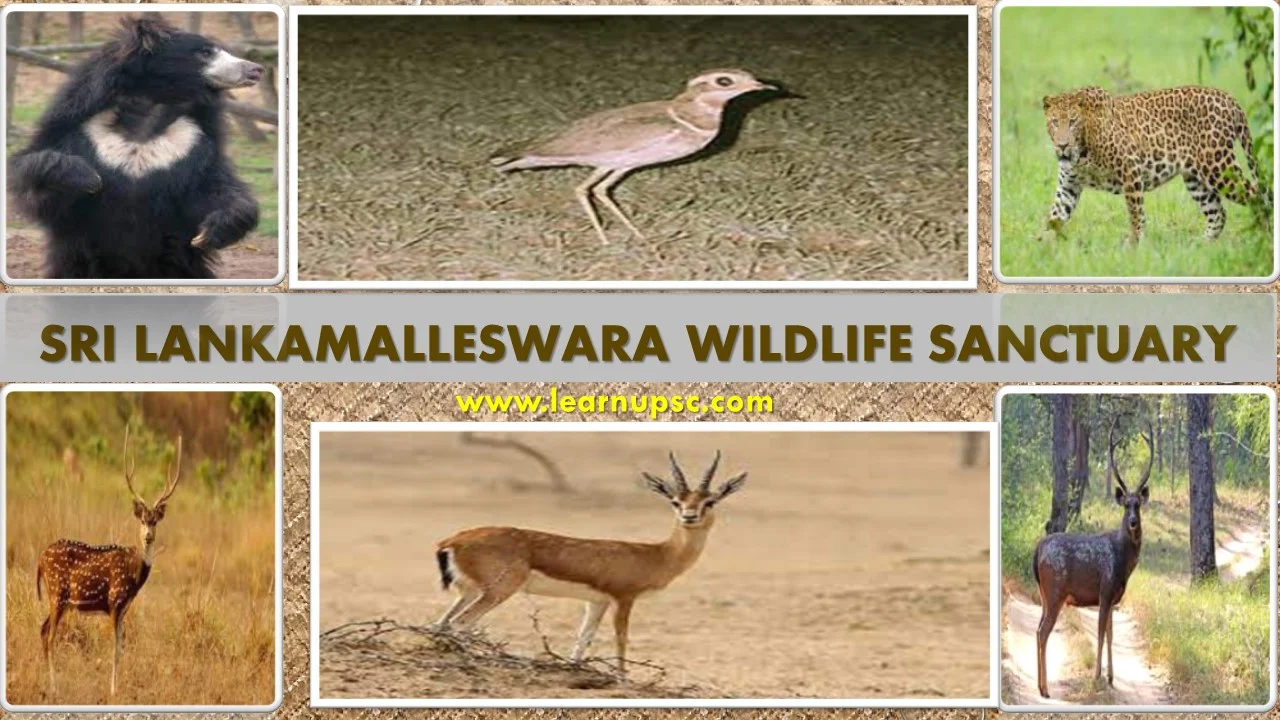 Sri Lankamalleswara Wildlife Sanctuary