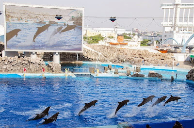 <img src="fazryan87.blogspot.com.jpg" alt="Welcome To Port of Nagoya Public Aquarium, Nagoya Japan">