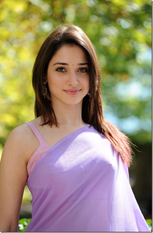 tamanna-beautiful still-in saree