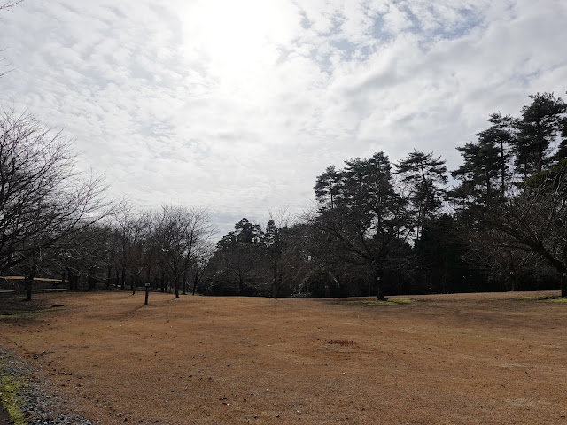 とっとり花回廊　桜の広場