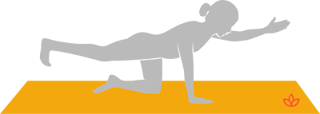 Chakravakasana