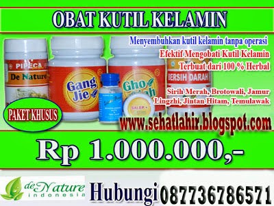 Obat kutil kelamin herbal