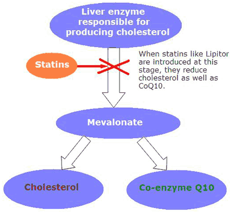 Coenzyme q10 vitamin kesihatan jantung