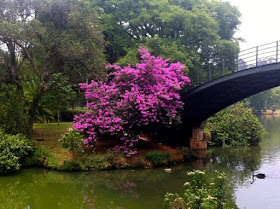 Parque Ibirapuera - Ponte de Ferro