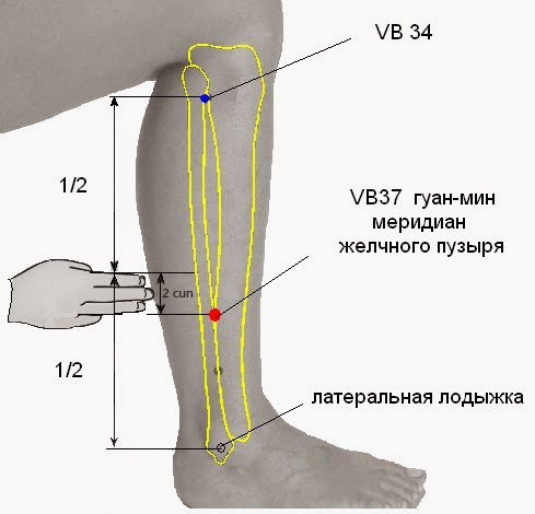 Точка аккуратно. Vb37 точка акупунктуры. Vb 36 точка акупунктуры. GB 38 точка.