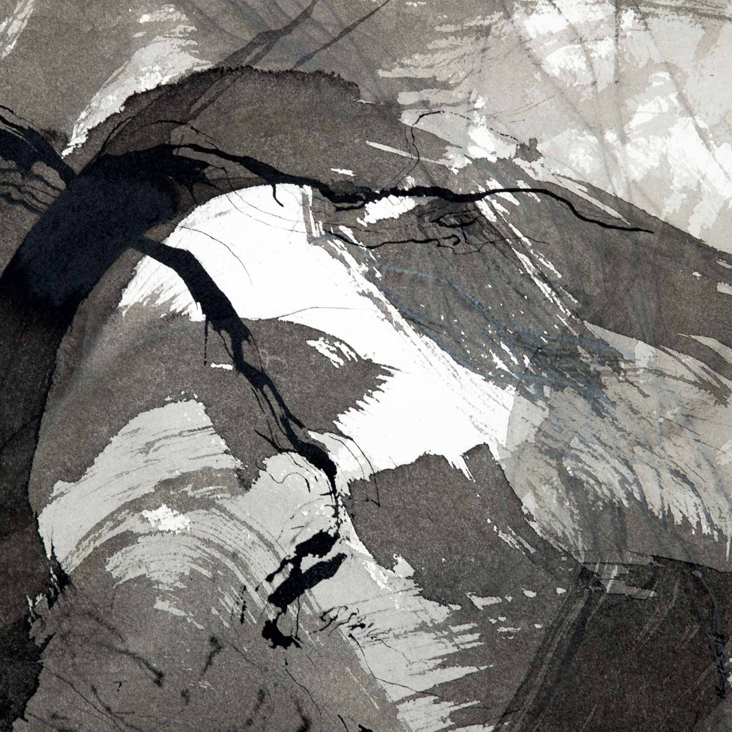 Encre de Chine et lavis sur Arches © Annik Reymond