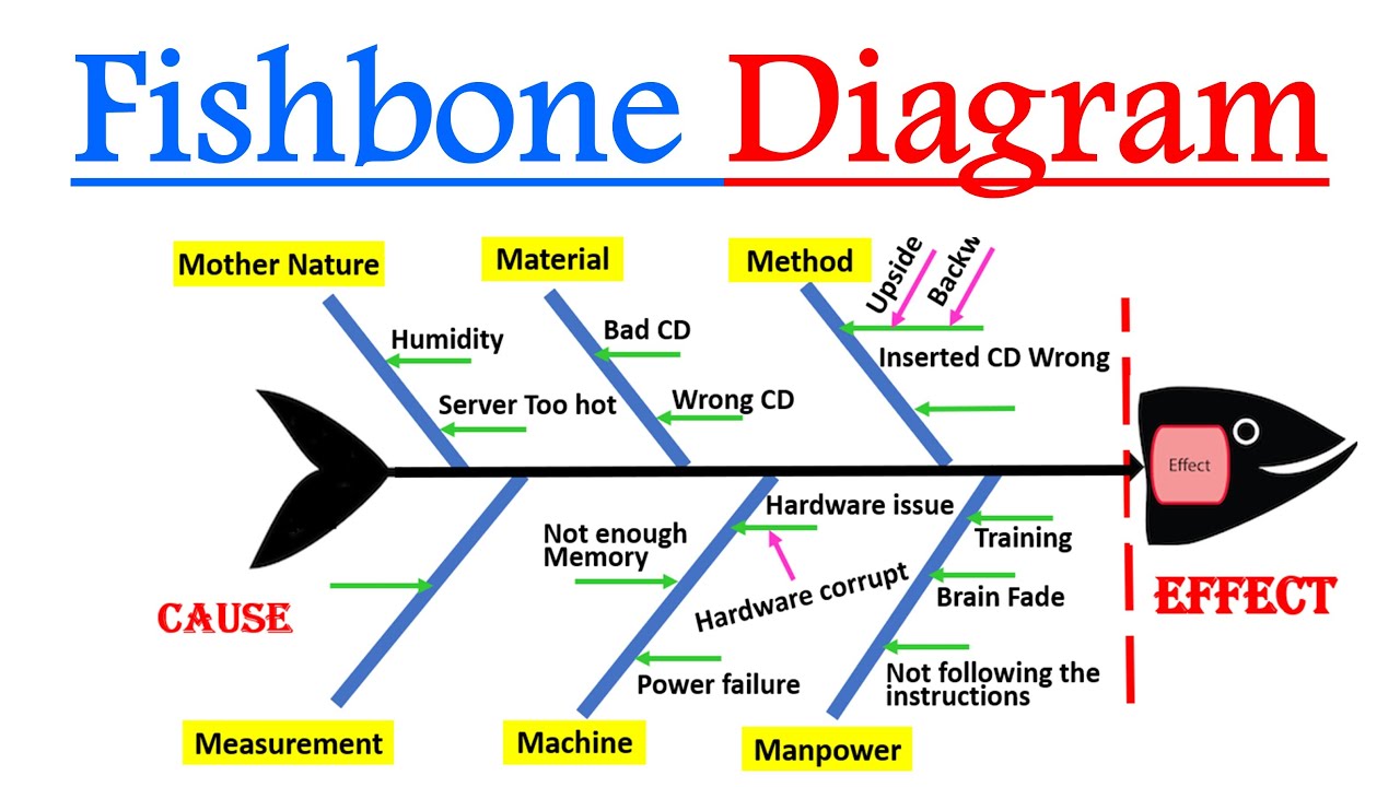 Fishbone Diagram dalam Quality Control 7 Tools - LENTERA EDU