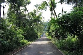 The road to Wallace Education Centre