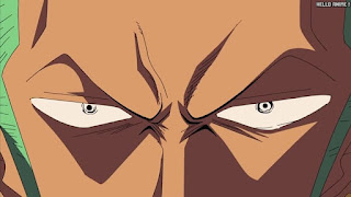 ワンピース アニメ 323話 ロロノア・ゾロ Roronoa Zoro | ONE PIECE Episode 323