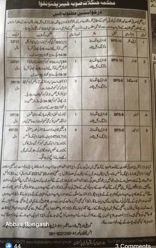   jobs in forest department Peshawar