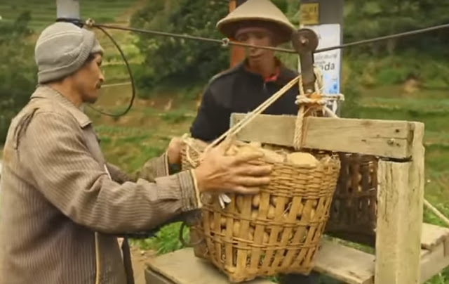 Panen kentang, Dieng, Jawa Tengah.