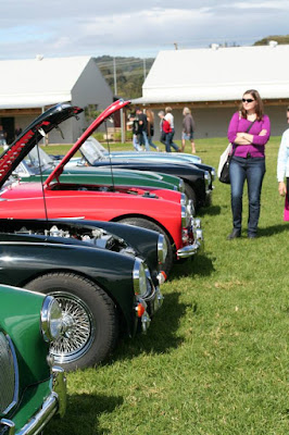 6 fine Austin Healy's 