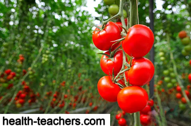 Sales of tomatoes that cure mental illnesses in Japan