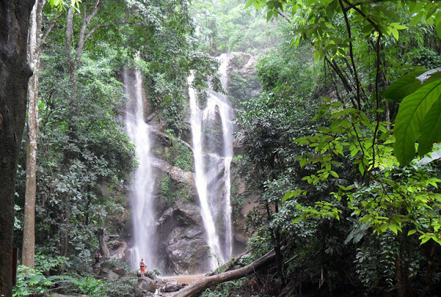 doi suthep-pui national park, national parks in chiang mai, chiang mai national parks, attractions national park in chiang mai, doi suthep-pui, doi suthep-pui mountain