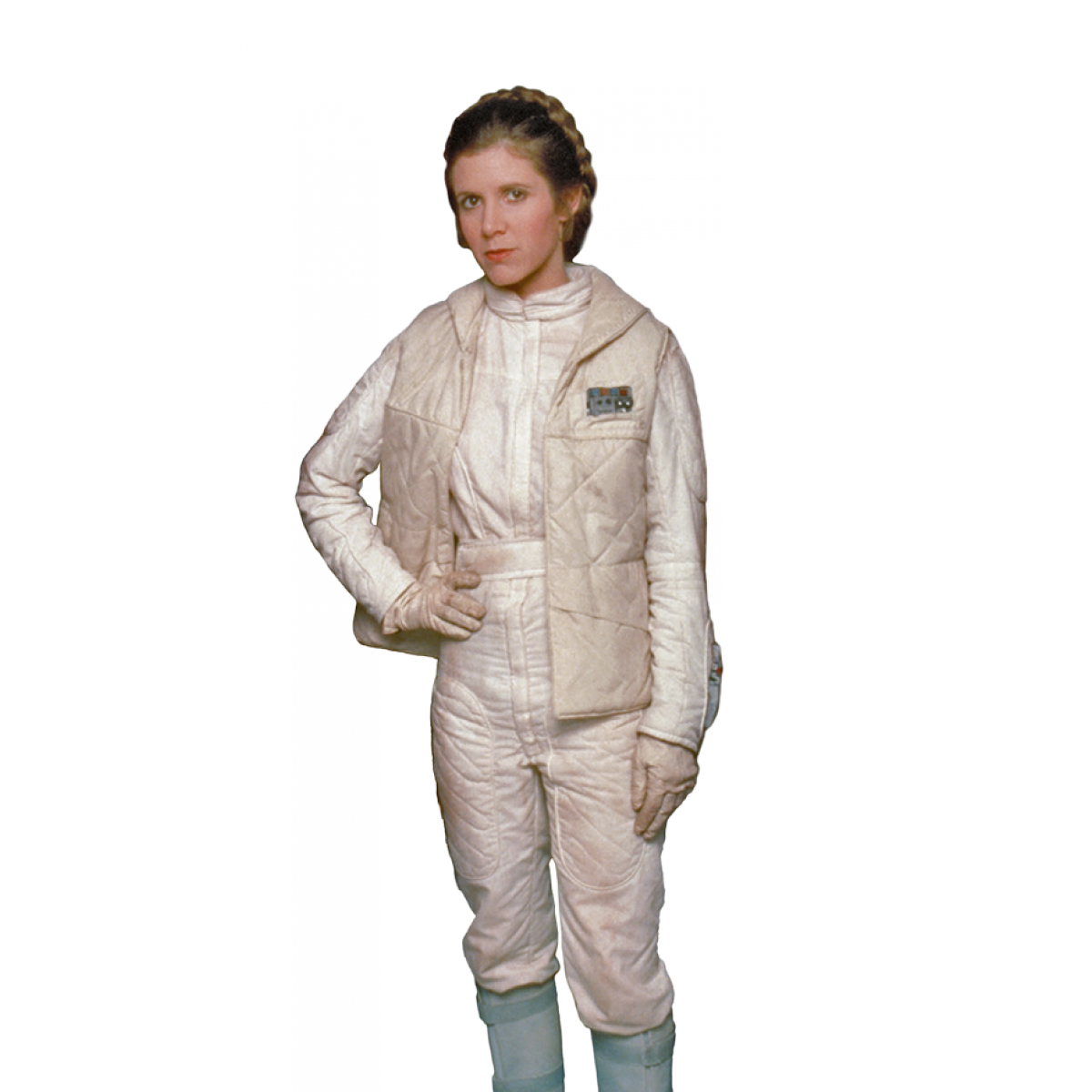 Free Free Princess Leia Png 501 SVG PNG EPS DXF File