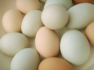 eggs for immunity