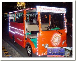 Electric Shuttle Bus