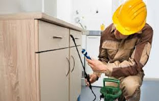  Pest Control Service in Vasai
