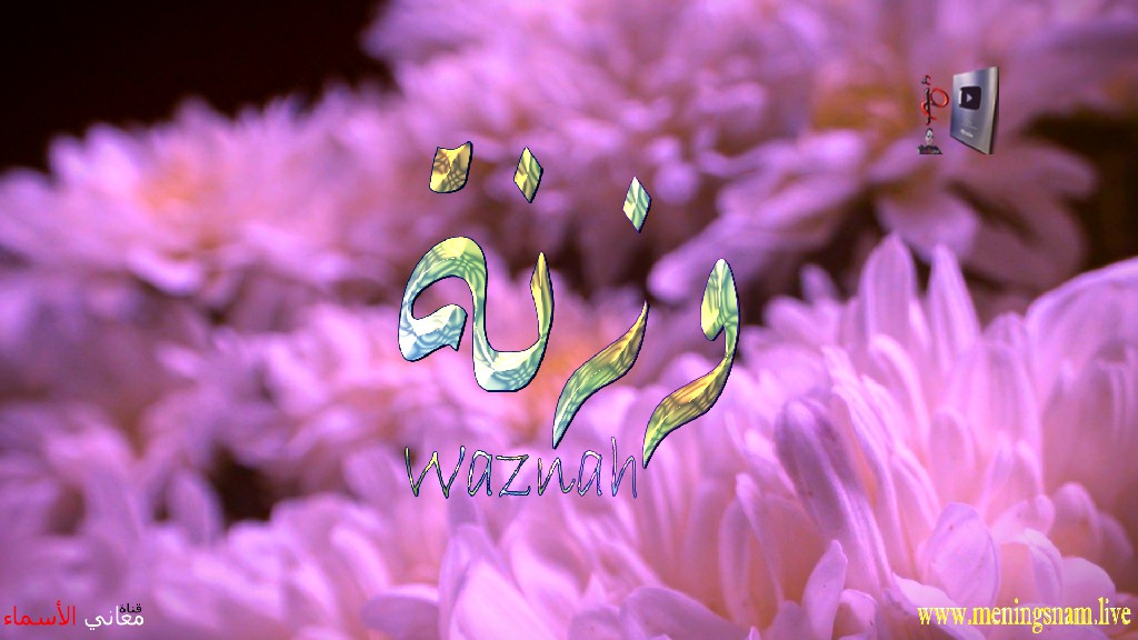 معنى اسم, وزنة, وصفات, حاملة, هذا الاسم, Waznah,