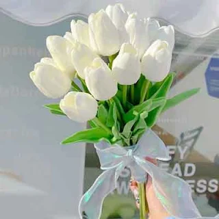Buket Bunga Tunangan Tulip