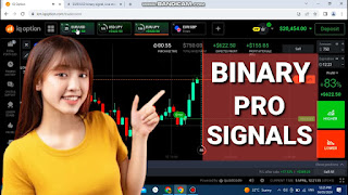 Binary Pro Signals
