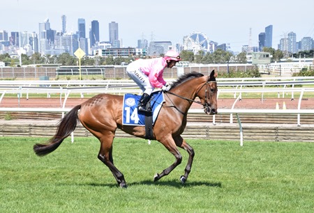 race 9_clarice cliffs 3