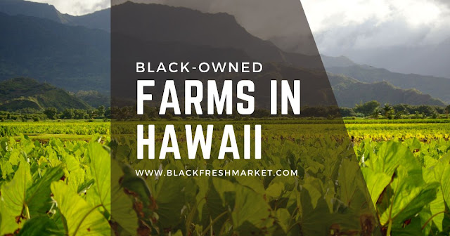 Black Owned Farms In Hawaii