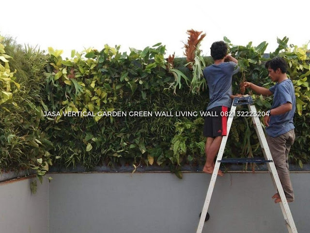 JASA PEMBUATAN VERTICAL GARDEN TANGERANG, JASA VERTICAL GARDEN TANGERANG, JASA TUKANG TAMAN VERTICAL TANGERANG, JASA PEMBUATAN DINDING HIDUP TANGERANG, JASA PEMBUATAN DINDING HIJAU TANGERANG, roof garden murah, roof garden design, roof garden minimalis, roof garden sederhana, roof garden detail, roof garden medan, roof garden TANGERANG, drainasecell roof garden, versicel roof garden, roof garden indonesia, roof garden TANGERANG, roof garden system, roof garden, roof garden adalah, drainasecell, versicell, alat roof garden, cara membuat roof garden, peralatan roof garden, roof top, top roof garden, taman dak atas, cara membuat taman dak, taman atap roof garden, taman roof garden, roof garden apartment, tukang taman vertikal, vertikal garden murah, vertikal garden sederhana, taman vertikal dari botol bekas, taman vertikal murah, taman vertikal rumah minimalis, taman vertikal adalah, taman vertikal dalam rumah, taman vertikal, taman vertikal minimalis, taman vertikal anggrek, taman vertikal botol, taman vertikal di bandung, taman vertikal menggunakan botol bekas, taman vertikal dari batu bata, biaya taman vertikal, buat taman vertikal, contoh taman vertikal, cara taman vertikal, contoh taman vertikal garden, taman vertikal di rumah, taman vertikal di lahan sempit, taman vertikal di dinding, taman vertikal dinding, taman vertikal dengan paralon, taman vertikal depok, fungsi taman vertikal, foto taman vertikal, taman vertikal garden, taman gantung vertikal, gambar taman vertikal minimalis, cara membuat taman vertikal garden, gambar taman vertikal, griya taman vertikal, desain taman vertikal garden, taman vertikal hidroponik, taman vertikal harga, harga taman vertikal murah, taman vertikal indonesia, taman vertikal indoor taman vertikal italia, ide taman vertikal, vertical gardens, vertical gardening, wall garden, green wall, vertical gardening systems, wall planter, indoor vertical planter, planter, wall planters, green walls, greenwall, garden walls, plant wall, wall planters indoor, wall planters for outdoors, vertical blinds, vertical line, vertical farming, vertical integration, vertical angles, vertical radiators, vertical meaning, define vertical,