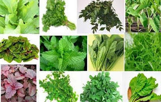 how many types of creeper spinach cress and benefits kon shake ki pushti aache jene nin