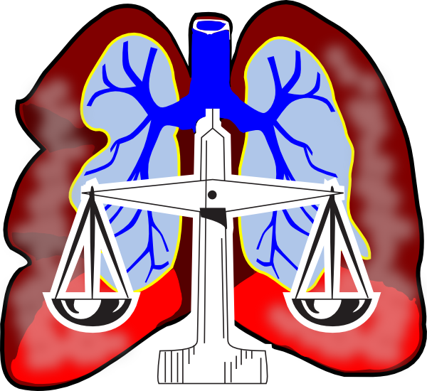 Mesothelioma Lawyers 