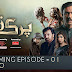 Watch Parizaad Only On HUMTV